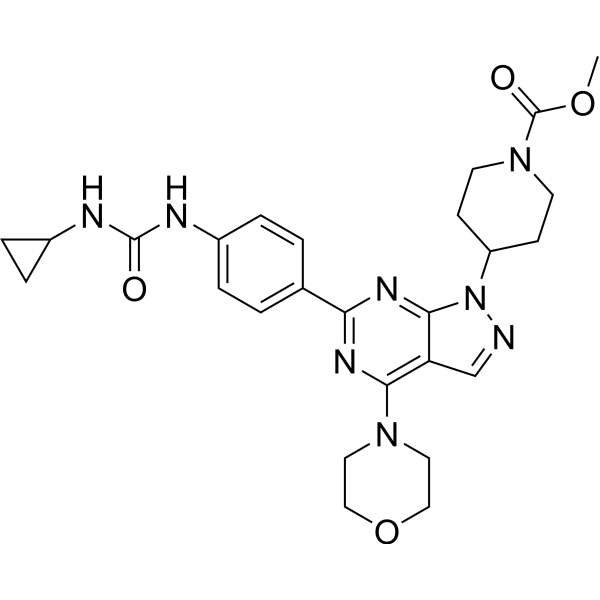 mTOR inhibitor WYE-23 1062169-46-3
